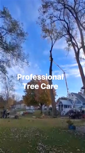 Guess the ground guys didn’t trust Travis’s rope work up top. 🏃‍♂️💨 | Professional Tree Care LLC