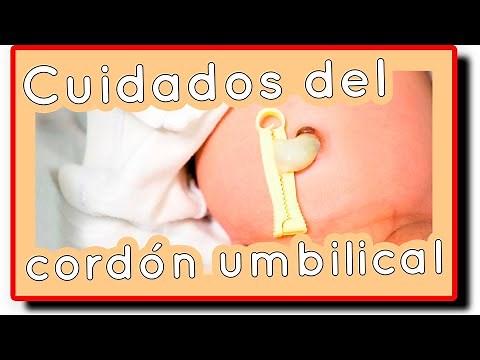 ¿Cómo curar el cordón umbilical? 👶 - consejos y cuidados 🛁 🧽