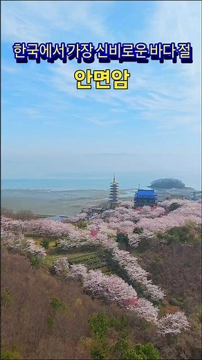 한국에서 가장신비로운 바다절#안면암
