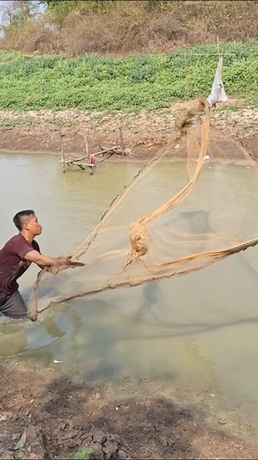 1M views · 15K reactions | amazing fishing! a smart fisherman use a cast net catch fish | Lii Xii CC - លី ស៊ីស៊ី | Facebook
