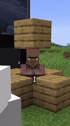 How to Remove Skins in Minecraft: A Guide