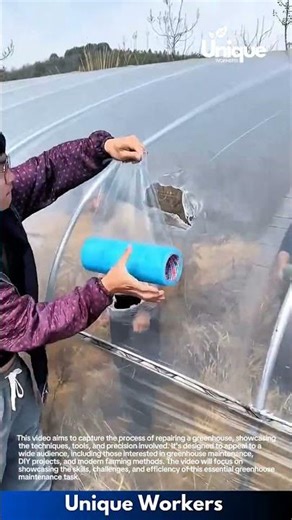 Diy greenhouse repair: a simple guide to patching greenhouse plastic