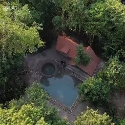 These guys hand built a swimming pool out of primitive tools and results are sublime...😱🙌 Tube Unique Wilderness | UNILAD