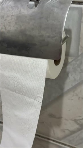 Tree Frog Naps Inside Toilet Paper Roll in Bathroom