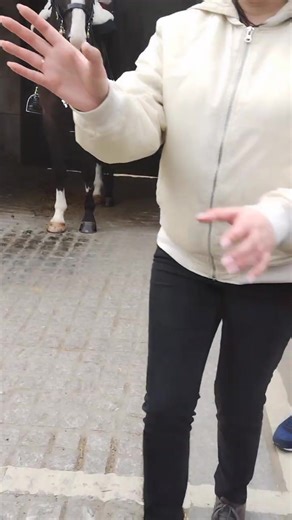 Prophetic Tv on Reels