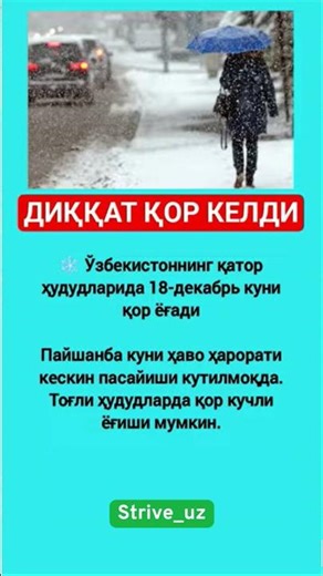 Ob havo - Diqqat qor#shorts #youtube #tezkor #tarqating #xabarlar #yangiliklar