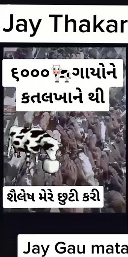 Jay Thakar ......Jay Gau mata........