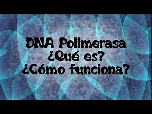 DNA polimerasa ¿Qué es? ¿Cómo funciona?