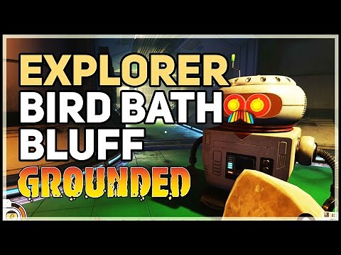 Bird Bath Bluff Grounded Explorer