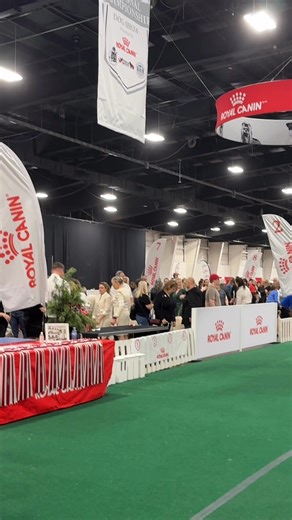 The Crown Classic National Championship Dog Show National presented by royalcanin.ca Canadian Pet Expo | Canadian Pet Expo