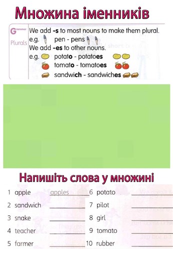 Plural interactive worksheet