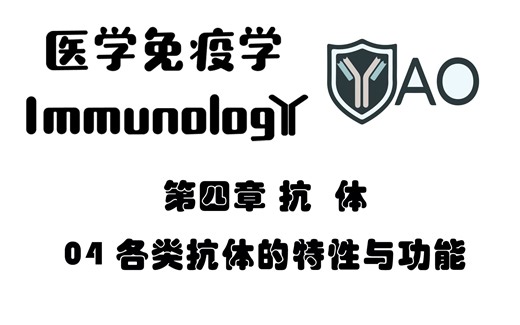 医学免疫学 第四章_04 各类抗体的特性与功能
