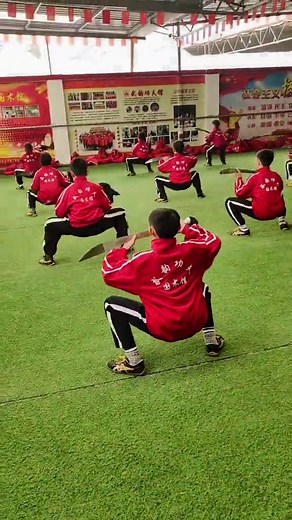 Wushu Warriors' Taolu Performance Compilation