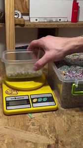 Turning Recycled Plastic into Amazing Masterpieces