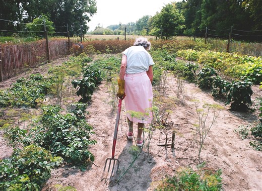 Agatha's Almanac Review: A Grand Character, with Tape and Strawberries - POV Magazine