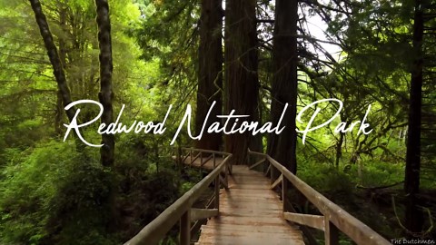 Redwood National Park, James Irvine Trail