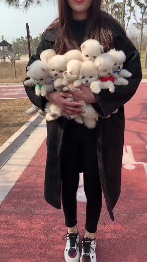 tiktokglobal (@tiktokglobal)’s videos with original sound - tiktokglobal