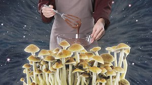 Magic Mushroom Edibles: Everything to Know, from Chocolates to Drops