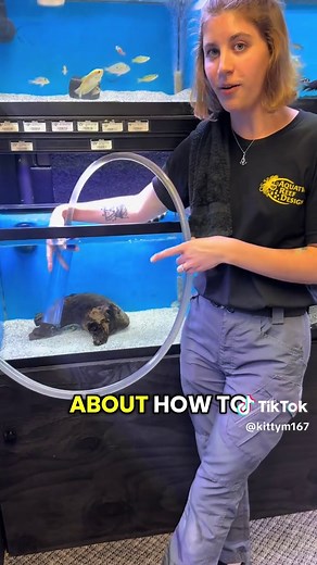 Effective Gravel Cleaning Techniques for Aquariums