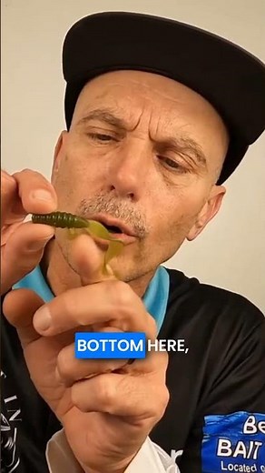 Why Shroom Tails Catch Fish