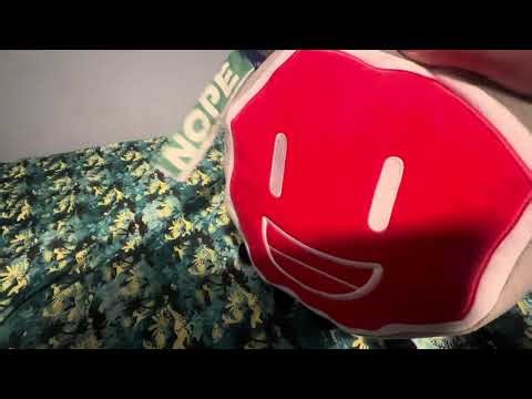 Things You Can do With Your No Way Plushie!!