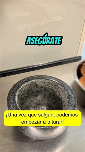 Cómo Hacer Calcio Casero para Perros con Cáscaras de Huevo 🥚🐶 ¡Fácil y Gratis!