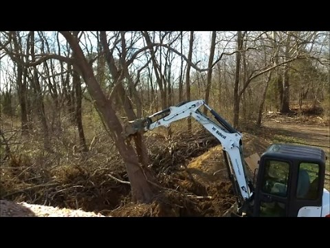 Bobcat e35i Mini Excavator Taking down Big Black Locust Trees & clearing trees