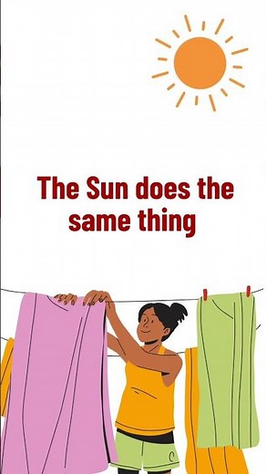 Why Do Wet Clothes Dry? | Evaporation #evaporation#watercycle#scienceforkids#sciencefacts