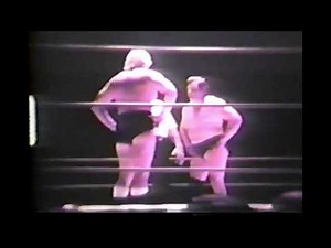 Pat Patterson vs. Ray Stevens 1