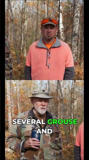 The moment I knew my dog was a natural pointer #birddogs #hunting #gsp