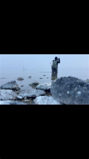 12 reactions | Athletic Eagle Lake Trout. #scottflyrods #orvisflyfishing #scientificanglers | Blue Line Fly Fishing | Facebook