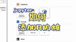 如何为jupyter添加R内核
