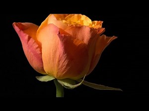 Seeing the Obvious: You Keep Shooting with Bryan Peterson