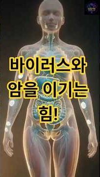 바이러스와 암을 이기는 힘, 항체 다양성이 항암력 면역력 동시에 높인다. 면역력 불균형 치료법 #면역력불균형