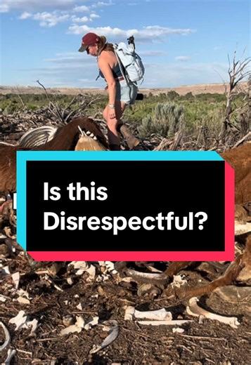 🦴Is a pile of bones or carcasses disrespectful? ❓How do you show respect to a species that doesn’t talk? 🫡 What are the best and worst things to do with remains? “Carcass: On the Afterlives of Animal Bodies” is available through @The MIT Press anywhere books are sold! #LearnBiologyOnTikTok #Biology #respect #carcass #animalbehavior