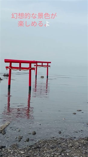 【佐賀県】無料で楽しめる、オススメ観光地の紹介5選！｜行って損なし！ #佐賀県観光地#shorts #japantravel