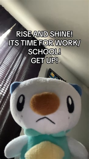 Oshawott | Rise and shine! 🗣️🗣️🗣️ #pokemon #oshawott #plush #silly #goodmorning | Instagram