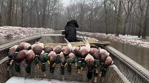 White Oaks Duck Habitat Development on Reels