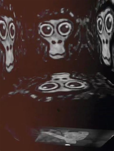 W pbbv edit or nah #gorillatag #gtag #gorillatagquest