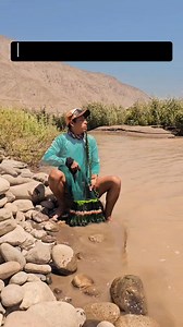 Pesca increíble con atarraya. Solo le bastó un atarrayaso para irse a casa. #Perú #tarraya #Ocoña #casnetfishing #camarón #crawfish | Wilson Javier Alvarez Coa