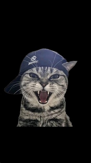 Bagian mana yang lucu 🤣😂😅 #funny #memes