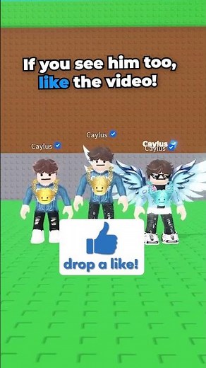 Find the REAL Caylus Challenge! 💛⚫