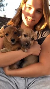 907 reactions · 361 shares | Cap & Capper sind jetzt 12 Wochen alt冀冀...