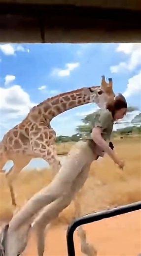 CRAZY Footage Giraffe and Rhino Attack!