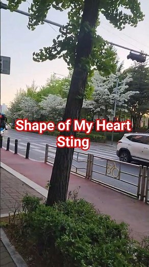 2026년 Shape of My Heart-Sting Leon(레옹)ost