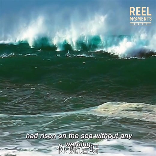 #ViralReels #ReelItFeelIt #TrendingNow #WatchTillTheEnd #MustWatch #ReelTrend #ReelVibes #ReelMagic #ForYou #FYP #ExplorePage #ViralVideo #ReelGoals #ReelBuzz #ClipOfTheDay #BestMoments #EpicReel #HighlightReel #ShortClip #ReelScene #ReelMoment #MiniVlog #SceneStealer #ReelEdit #BoostYourReels #ContentForYou #ReelForYou #ShareTheMoment #ReelDaily #ReelLovers | Reel Moments