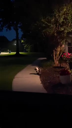 How to Leave a Heartfelt Voicemail Message