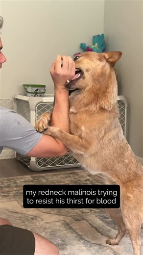 Victoria Sarton + Hayden & Arlo on Instagram