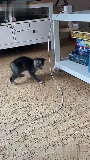 Senior funny player (@seniorfunnyplayer)’s videos with 原聲 - Senior funny player