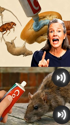 Wasting money on mouse, cockroach and ant poisons. Learn how to use toothpaste to protect your home. No mice, cockroaches or ants survive in my home thanks to this method! If you are tired of spending money unnecessarily, try this effective trick now | Rooted Health | Facebook